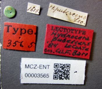 Media type: image;   Entomology 3565 Aspect: labels